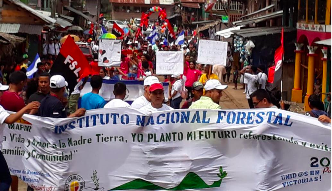 reforesta1